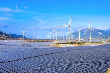 Hết nợ ngân hàng, Điện mặt trời Trung Nam vẫn còn nợ phải trả 2.600 tỷ đồng