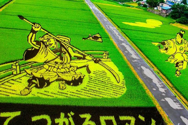 Ngôi làng tạo hình nghệ thuật cho đồng lúa công phu nhất thế giới