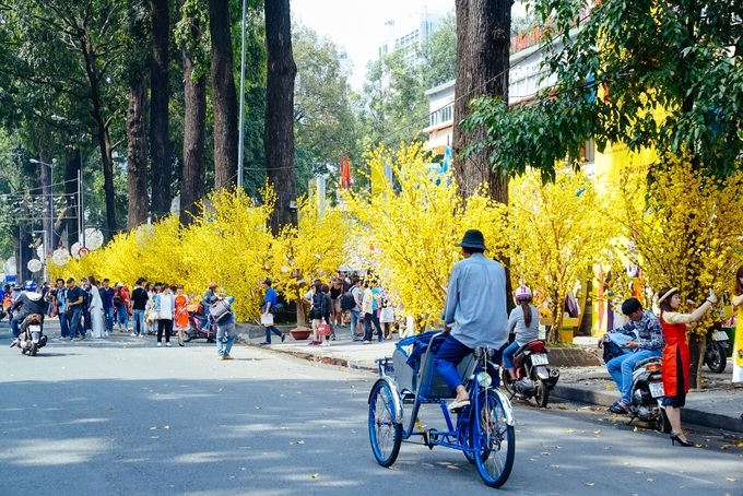 Mai vàng và áo dài đua nhau khoe sắc ở phố ông Đồ Sài Gòn