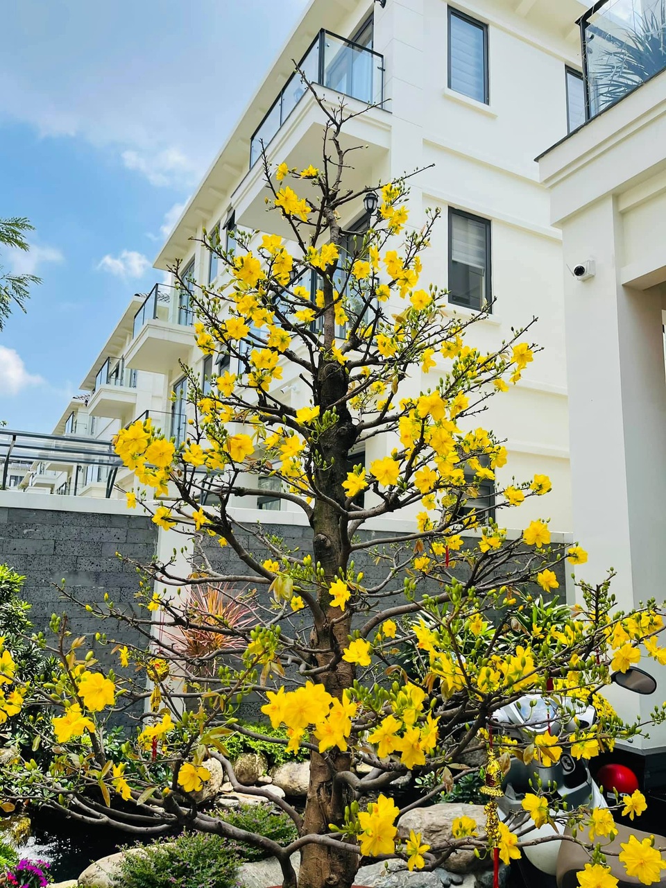 Vân Hugo lần đầu tiết lộ về con riêng của chồng sắp cưới - 4 Vân Hugo lần đầu tiết lộ về con riêng của chồng sắp cưới - 4