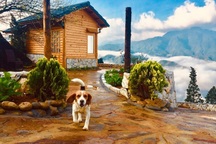 Đẹp hút hồn ngôi nhà gỗ "săn mây" vạn người mê trên núi cao ở Sa Pa