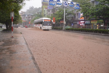 Mưa lớn tại Quảng Ninh, nhiều tuyến phố ngập sâu trong nước