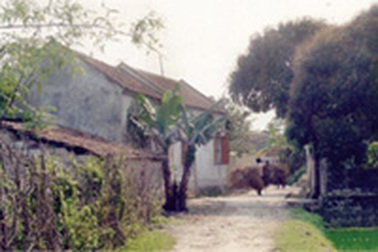 Đất nghèo gieo... con chữ