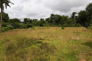 3 đại dự án bỏ hoang trong nỗi "ám ảnh" của người dân xã biên giới xứ Nghệ