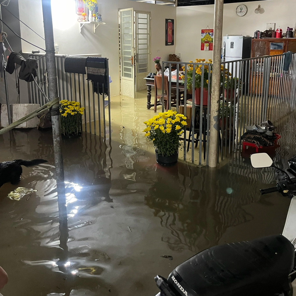 Triều cường bất ngờ, người dân vừa đón Tết vừa chạy ngập - 2 Triều cường bất ngờ, người dân vừa đón Tết vừa chạy ngập - 2