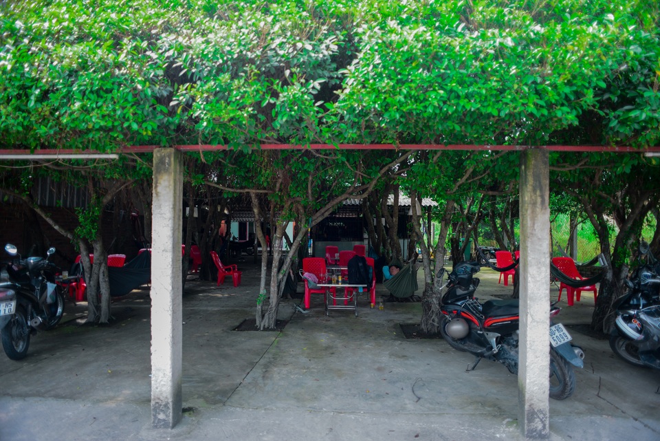 Quán cà phê tạo từ 24 cây si “khủng”, bên trong mát như máy lạnh ở Long An - 11 Quán cà phê tạo từ 24 cây si “khủng”, bên trong mát như máy lạnh ở Long An - 11