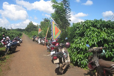 Cháu bé bị tông chết rồi bỏ lại bên lề đường