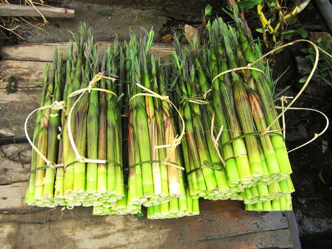 Điểm danh những loại rau rừng nhất định phải thử khi đến Tây Bắc - 4 Điểm danh những loại rau rừng nhất định phải thử khi đến Tây Bắc - 4