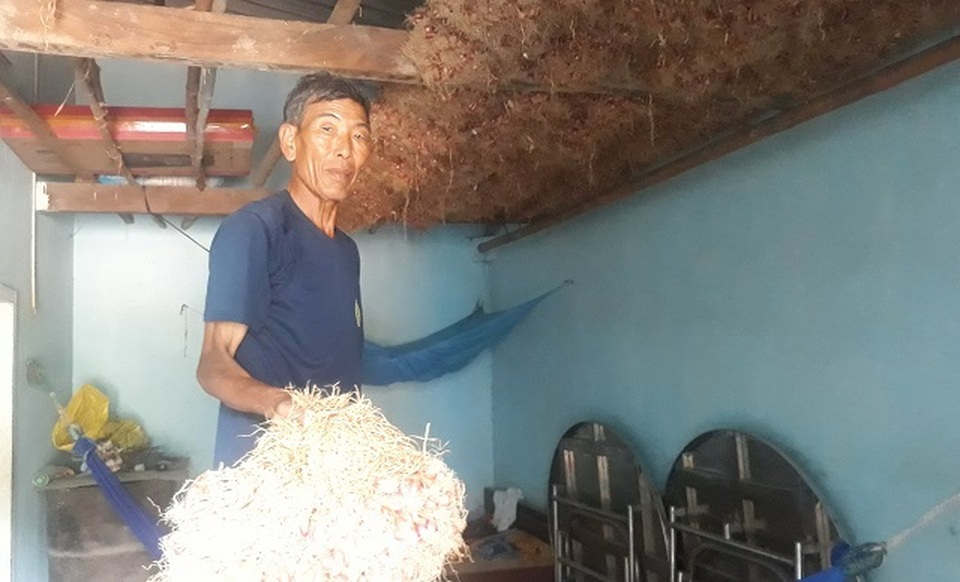 Nông dân sốc vì hành củ rớt giá kỷ lục từ 60.000 đồng còn 5.000 đồng - 2 Nông dân sốc vì hành củ rớt giá kỷ lục từ 60.000 đồng còn 5.000 đồng - 2