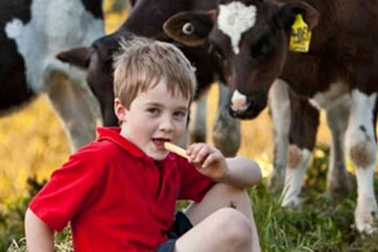 Bí quyết của mẹ thông thái chọn sữa tươi cho con