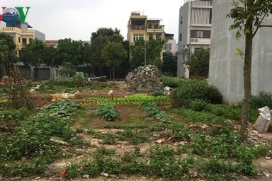 Người dân nên thận trọng với cơn “sốt” đất nền