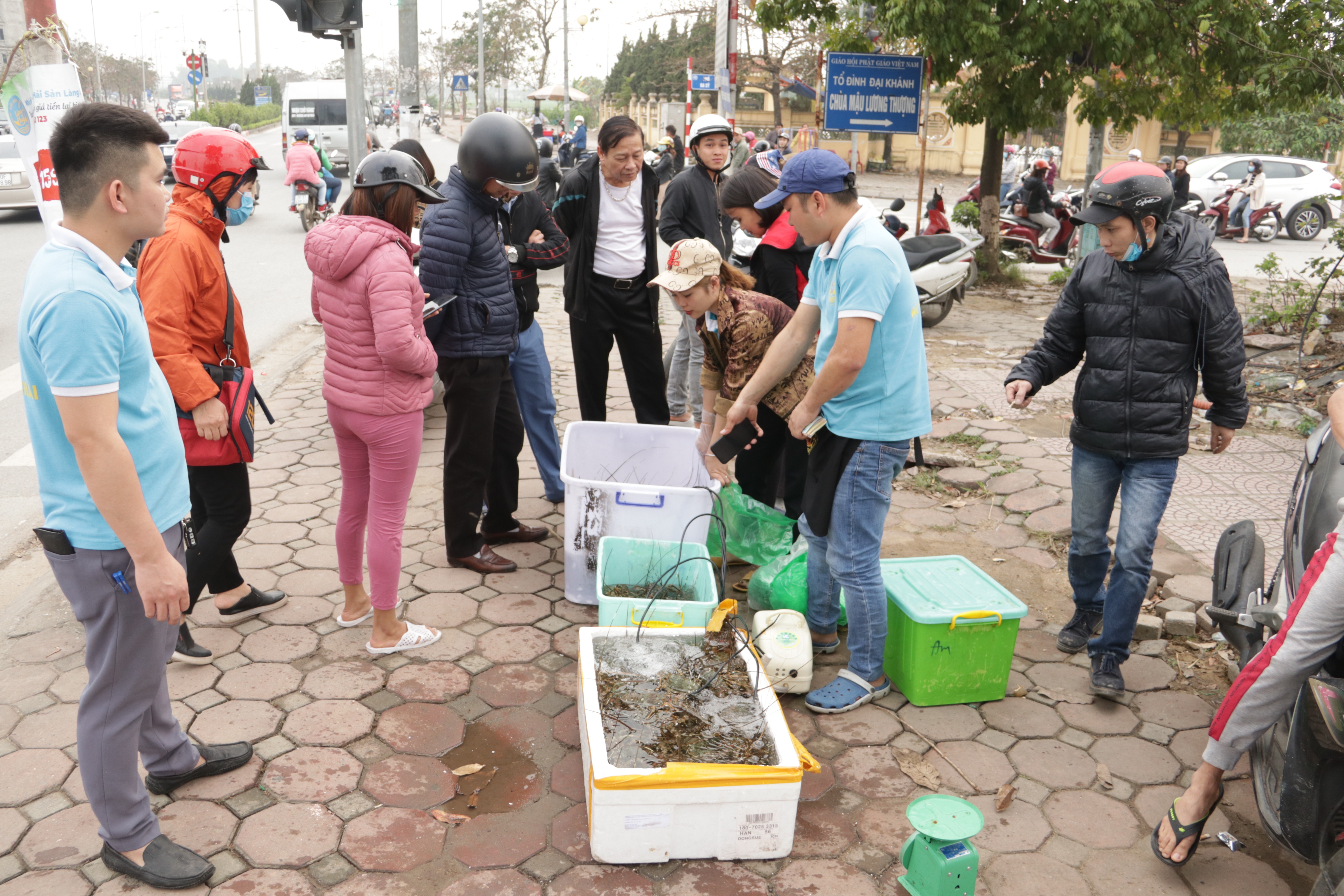 Hà Nội: Lấy mác giải cứu nông sản để chiếm vỉa hè nhiều tuyến phố - 17 Hà Nội: Lấy mác giải cứu nông sản để chiếm vỉa hè nhiều tuyến phố - 17