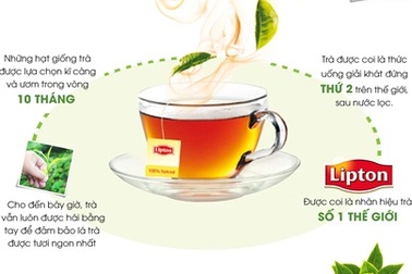 Hành trình từ chiếc lá xanh đến tách trà thơm ngát