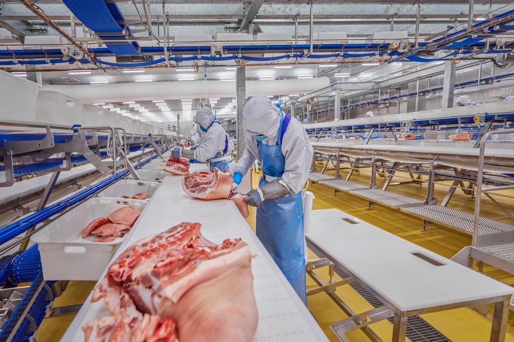 Masan MEATLife từng bước giải bài toán dài hạn bằng mô hình tích hợp khép kín - 2 Masan MEATLife từng bước giải bài toán dài hạn bằng mô hình tích hợp khép kín - 2