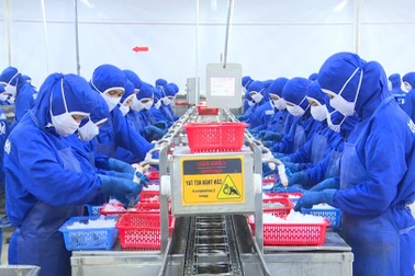 Ngành thủy sản tỷ USD: "Người khổng lồ" hụt hơi trên đường đua xanh?