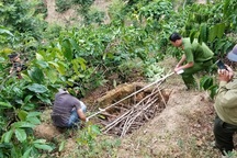 Vụ giết chủ nợ phi tang xác trong vườn cà phê: Khởi tố bị can tội giết người, cướp tài sản