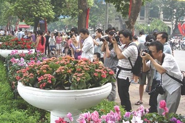 Nắng vàng, hoa tươi và sự tất tưởi của “phó nháy”