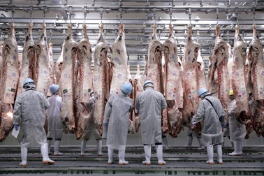 Quá thèm thịt, Trung Quốc dỡ bỏ lệnh cấm 18 năm đối với thịt bò Nhật Bản