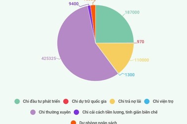 “Túi tiền” quốc gia năm 2018: Chi thường xuyên và trả nợ lãi gấp 3 lần đầu tư phát triển