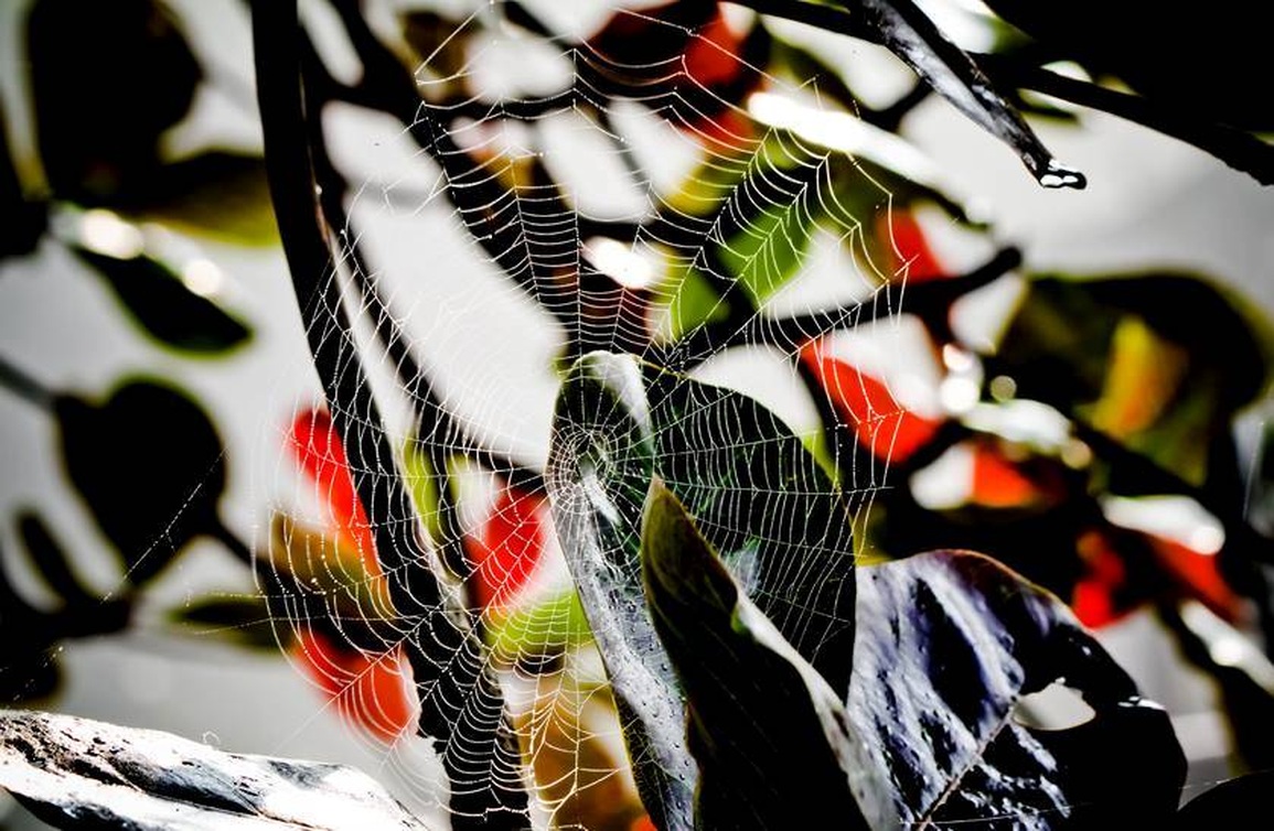 Chầm chậm mùa đông xứ Huế gây nhớ thương - 8