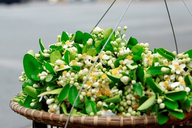 Hà Nội - Thành phố dịu dàng và quyến rũ kỳ lạ