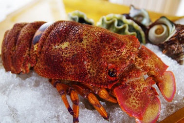 Những hải sản quý hiếm giá bạc triệu được nhà giàu Việt "săn đón"