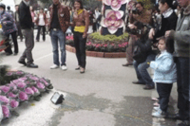 Thợ ảnh, trông xe “hốt bạc” tại lễ hội phố hoa