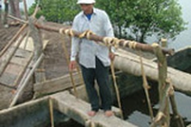 Nước sông Thị Vải ô nhiễm: Cá chết, người khóc