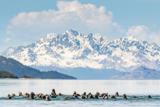 Hàng chục nghìn người mất tích bí ẩn tại Tam giác quỷ Alaska - 4 Hàng chục nghìn người mất tích bí ẩn tại Tam giác quỷ Alaska - 4