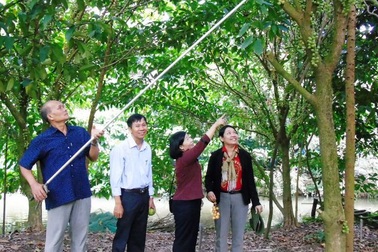 Ngắm Homestay độc đáo không đụng hàng của lão nông Cần Thơ