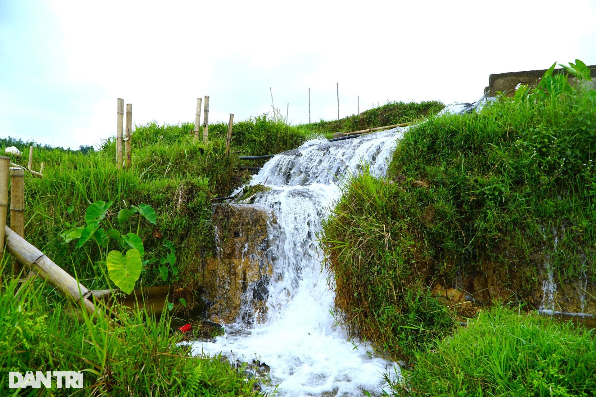 Ngắm ruộng bậc thang đẹp bình yên mùa nước đổ ở Thanh Hóa - 3