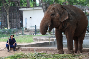 Sắp "mất voi mới lo làm chuồng", nam shipper quỳ gối kêu oan