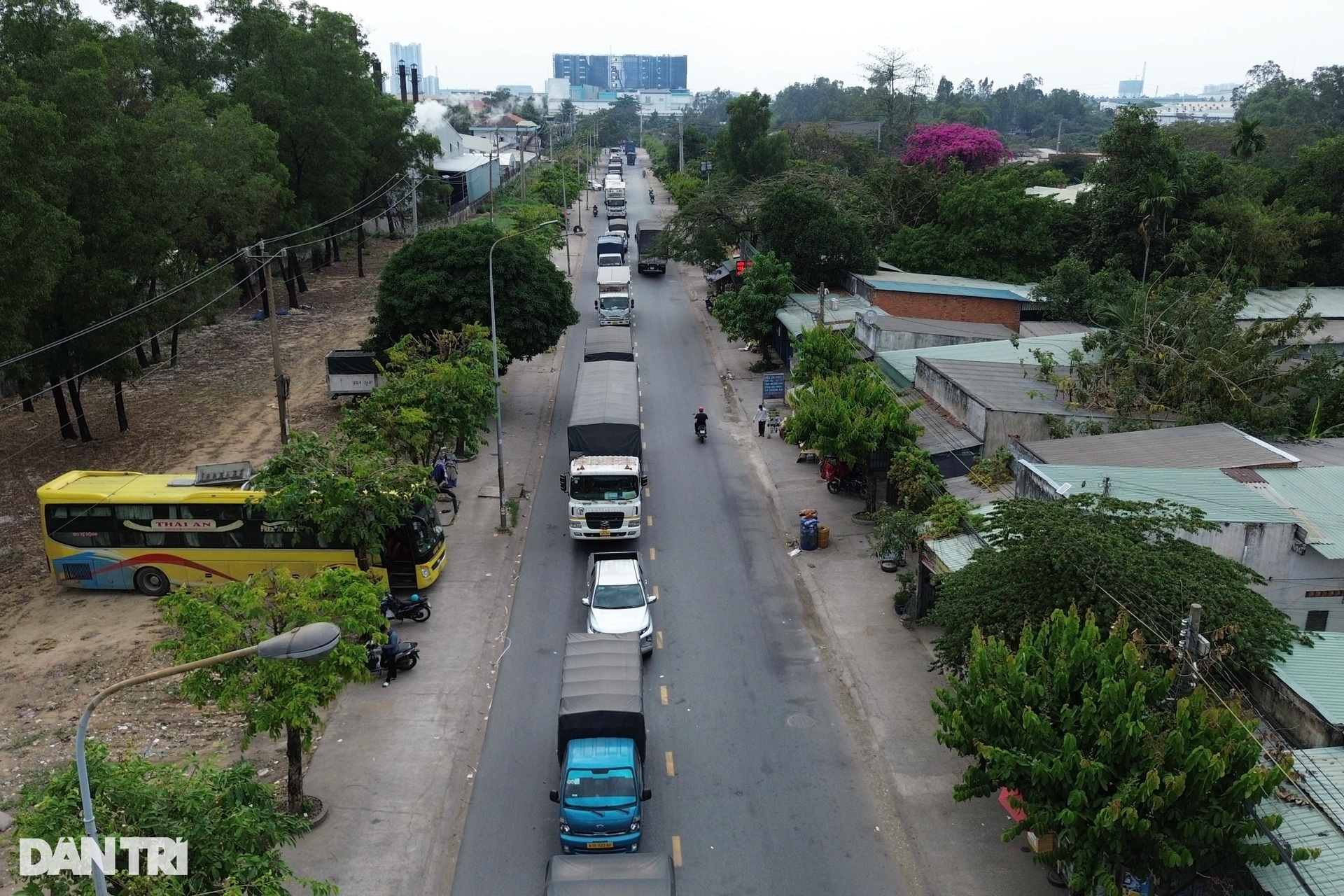 Một phường ở Bình Dương cầu cứu vì tuyến đường liên tục xảy ra tai nạn - 1