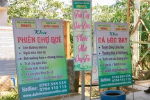 Cần Thơ chấn chỉnh hoạt động du lịch bát nháo tại Cồn Sơn