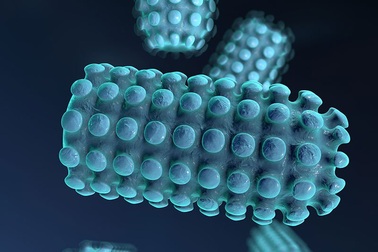 Đột phá xét nghiệm xác định có cần tiêm vắc xin ngừa bệnh dại không