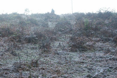 Lào Cai: Sương muối phủ trắng vùng cao Ý Tý