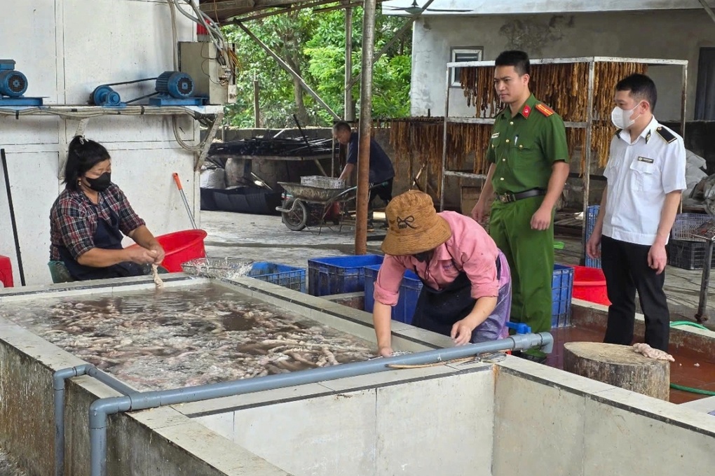Phát hiện hơn 3 tấn lòng lợn bốc mùi tại một cơ sở ở Bắc Ninh - 1