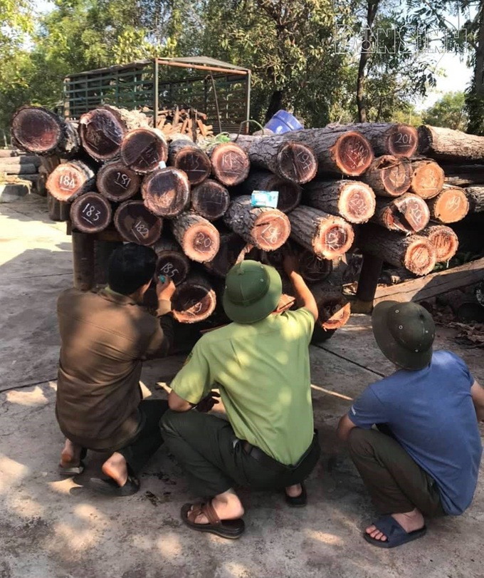 Đắk Lắk: Vận chuyển gỗ trái phép bị phát hiện - Ảnh 4. Đắk Lắk: Vận chuyển gỗ trái phép bị phát hiện - Ảnh 4.