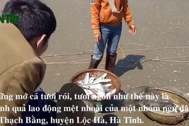 Video:  Cận cảnh ngư dân tất tả “hái lộc” biển đầu xuân