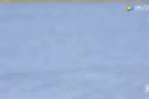 Cụ ông 20 năm lái xe đưa vợ bị ung thư chu du khắp nơi