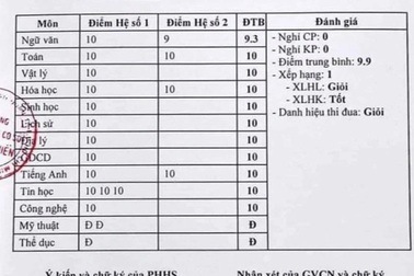 Một giáo viên Toán ở TPHCM nâng điểm cho 37 học sinh