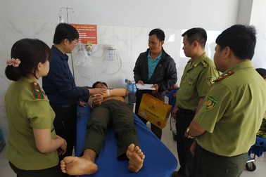 Kiểm lâm kể lại giây phút bị hàng chục lâm tặc vây chém