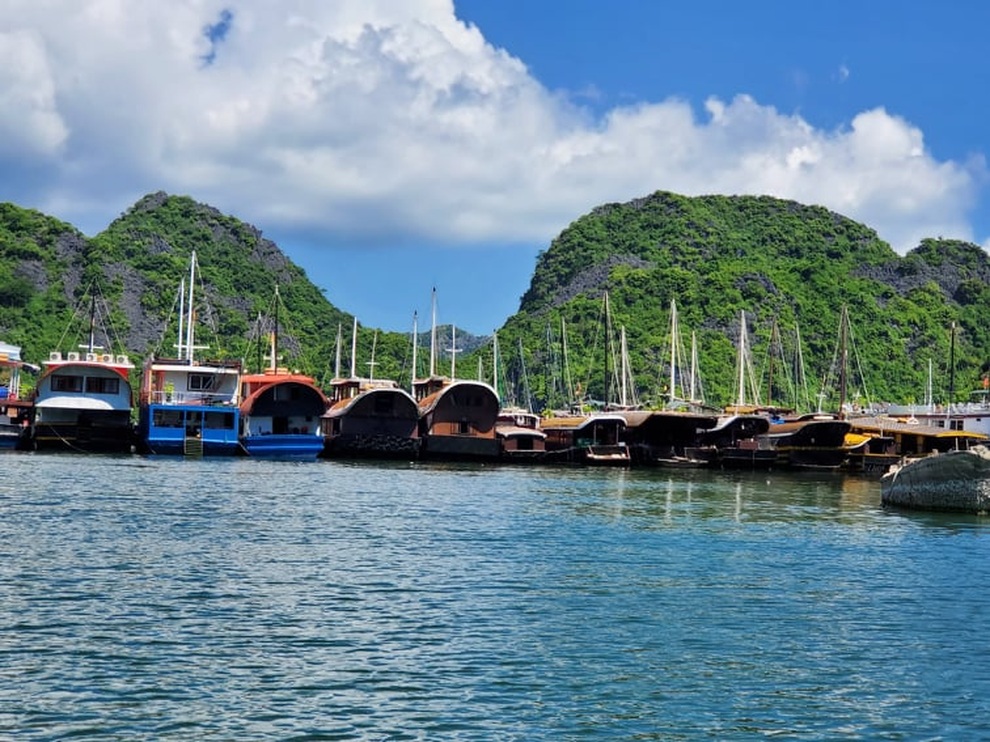 Mở lại du lịch nội tỉnh, điểm đến Cát Bà liệu có thoát cảnh đìu hiu? - 7 Mở lại du lịch nội tỉnh, điểm đến Cát Bà liệu có thoát cảnh đìu hiu? - 7