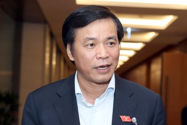 Chưa có tiền lệ phải "cách chức" người không còn chức vụ như ông Vũ Huy Hoàng