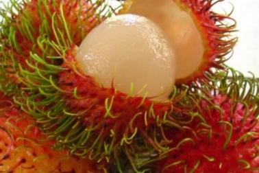 Cách phân biệt chôm chôm chuẩn Việt không phải ai cũng biết