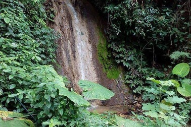 Ảo giác bị bắt cóc, người đàn ông trốn biệt tích trong rừng sâu