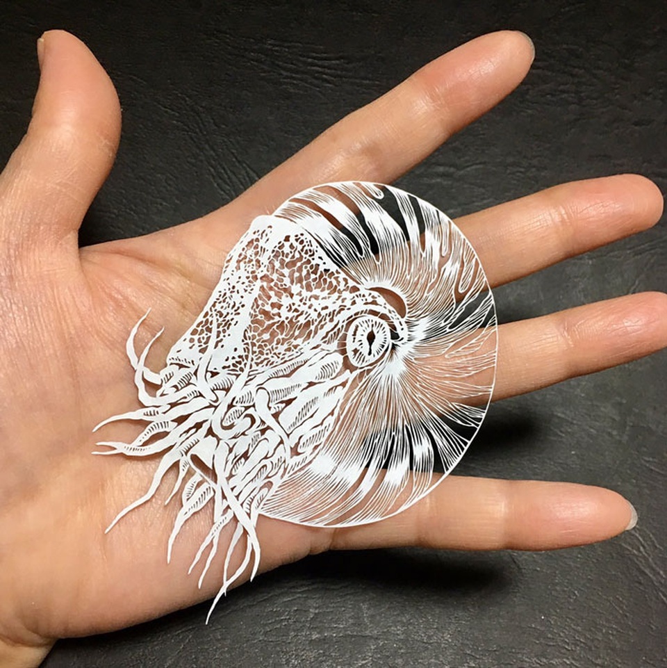 Một tác phẩm Kirigami có thể tinh xảo đến mức nào? - 4 Một tác phẩm Kirigami có thể tinh xảo đến mức nào? - 4