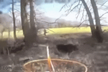 Chiến sự Ukraine 29/3: Kiev phản đòn khẩn cấp, phủ đầu quân Nga ở Belgorod