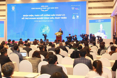 Doanh nghiệp sợ hình sự hóa quan hệ dân sự, kinh tế