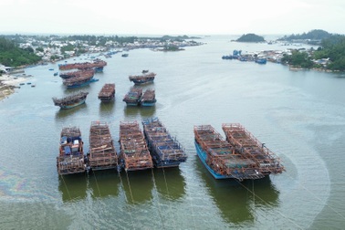 Một thuyền trưởng tàu cá bị phạt gần 700 triệu đồng